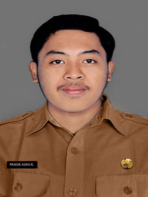 Pande Putu Adhi Khumara Wijaya, S.Tr.Kes